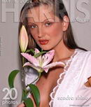 Sandra Shine in Flower gallery from HARRIS-ARCHIVES by Ron Harris