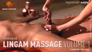 17. Lingam Massage ? Volume 1 video from HEGRE-ART MASSAGE