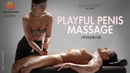 101. Playful Penis Massage