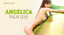 Angelica in Palm Leaf gallery from HEGRE-ART by Petter Hegre