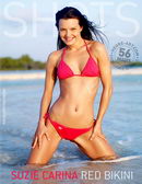 Suzie Carina in Red Bikini gallery from HEGRE-ART by Petter Hegre