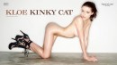 Kinky Cat