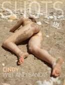 Cindy in Wet And Sandy gallery from HEGRE-ART by Petter Hegre