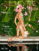 Alya in Human Flower gallery from HEGRE-ART by Petter Hegre