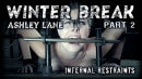 Ashley Lane in Winter Break Part 2 video from INFERNALRESTRAINTS