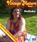 Nelleke in Dutch Amateur Housewife Playing With Her Huge Tits And Masturbating Outside video from MATURE.NL