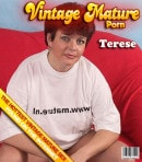 Terese in Curvy Mature Housewife With Short Hair video from MATURE.NL