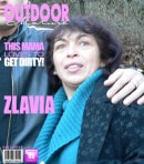 Eric Schiller & Marcel Lee & Zlavia in Mature Amateur Sex At The Parking Area video from MATURE.NL