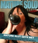 BBW Ellemieke Loves BBC Dildos video from MATURE.NL