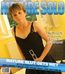 Horny Housewife Lets Her Pussy Play With Toys