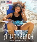 Hairy Divine Loves To Flash On The Beach video from MATURE.NL