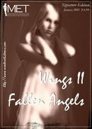 Wings II Fallen Angel