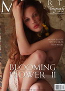 Blooming Flower 02