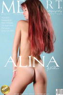 Alina F in Presenting New Model Alina gallery from METART by Volkov