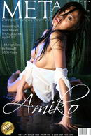 Presenting Amiko