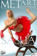Sasha P in Presenting Sasha gallery from METART by Goncharov