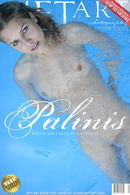 Palinis