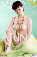 Arina B in Presenting Arina gallery from METART by Ingret