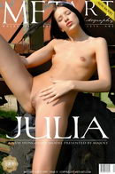 Presenting Julia