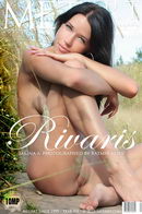 Rivaris