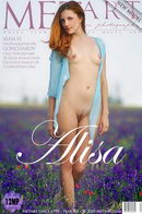 Alisa H in Presenting Alisa gallery from METART by Goncharov