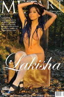Lakisha A in Presenting Lakisha gallery from METART by Albert Varin