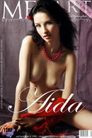 Aida D in Presenting Aida gallery from METART by Andre Le Favori