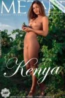 Presenting Kenya gallery from METART by Alex Iskan