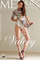 Presenting Valery Leche gallery from METART by Natasha Schon