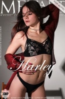 Presenting Harley gallery from METART by Natasha Schon