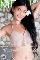 Vina Rae in Exotic Taste gallery from METART by Robert Graham