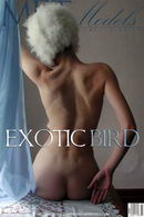 Ida in Exotic Bird gallery from METMODELS by Anais Demois