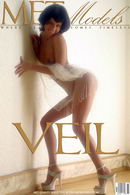 Patrizia in Veil gallery from METMODELS by Alexander Fedorov