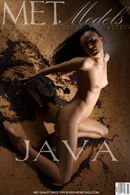 Rhoda in Java gallery from METMODELS by Alexander Fedorov