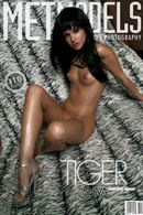 Shiva in Tiger gallery from METMODELS by Magoo