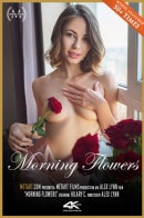 Morning Flowers