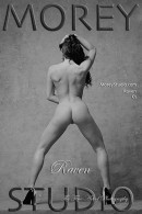 Raven C1 gallery from MOREYSTUDIOS2 by Craig Morey