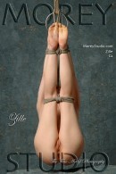 Zille C2 - Suspension gallery from MOREYSTUDIOS2 by Craig Morey