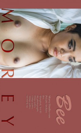 Bee  from MOREYSTUDIOS2