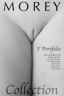 Y Portfolio