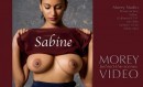 Sabine C1V1 video from MOREYSTUDIOS2 by Craig Morey