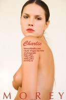 Charlie P5FX gallery from MOREYSTUDIOS2 by Craig Morey