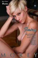 Fairy 01C