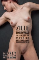 Zille C3C gallery from MOREYSTUDIOS2 by Craig Morey