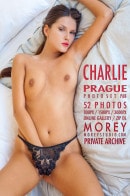 Charlie P6B gallery from MOREYSTUDIOS2 by Craig Morey
