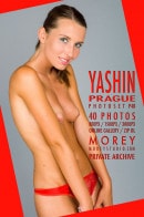 Yashin P4B gallery from MOREYSTUDIOS2 by Craig Morey