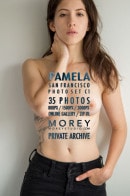 Pamela C1 gallery from MOREYSTUDIOS2 by Craig Morey
