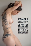 Pamela C4 gallery from MOREYSTUDIOS2 by Craig Morey