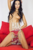 Hana B P2C gallery from MOREYSTUDIOS2 by Craig Morey