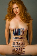 Amber C1F gallery from MOREYSTUDIOS2 by Craig Morey